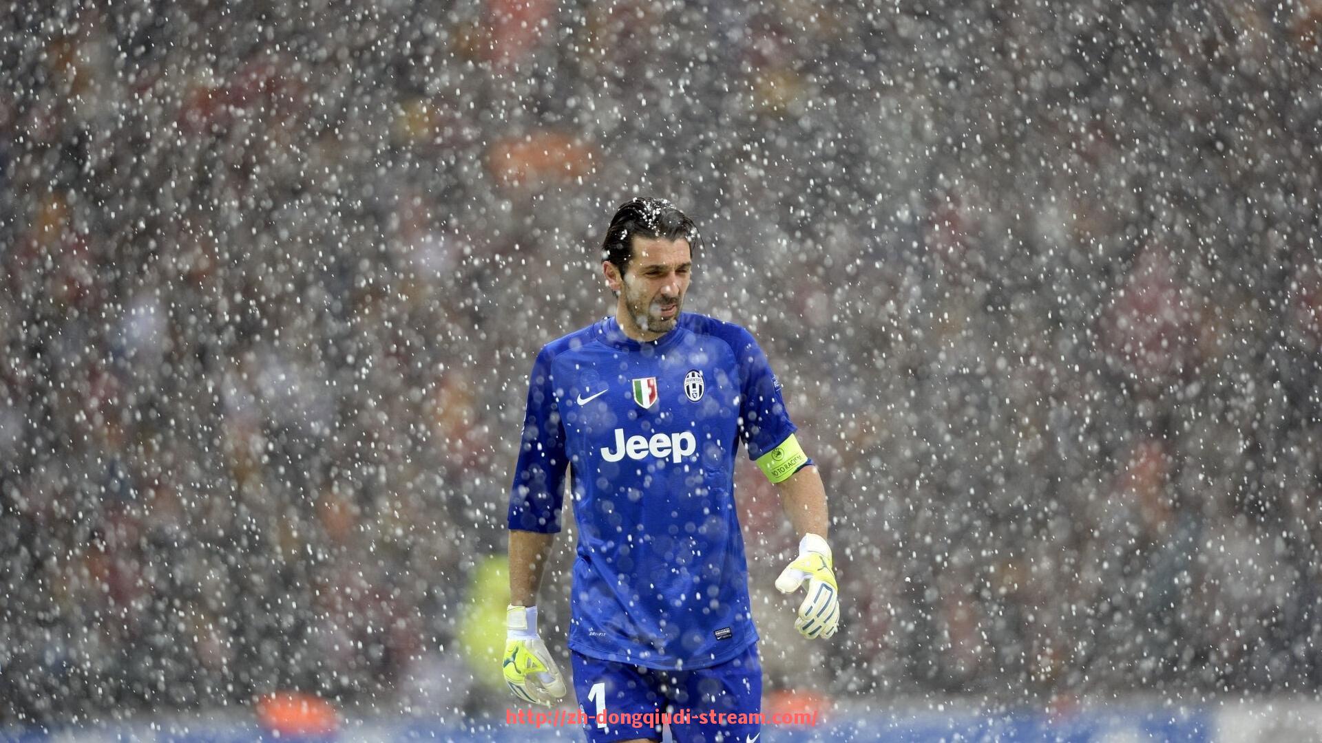 懂球帝直播-健身器材综合拉力训练方法及效果解析